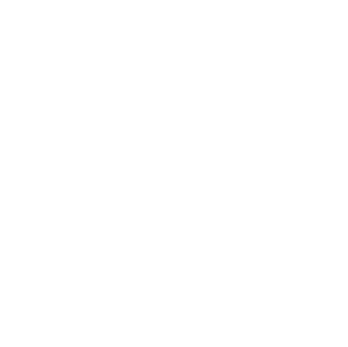 intsagram logo